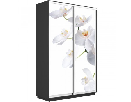 Шкаф-купе "Экспресс Фото дуо Орхидея", цвет Серый диамант