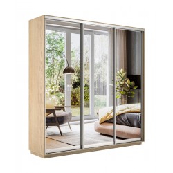 Шкаф-купе 450 "Экспресс Экспенс трио"