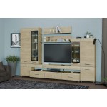 Гостиная Камелия 3, гикори джексон светлый / венге